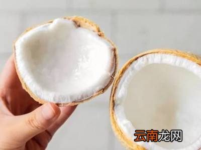 无工具开椰子技巧
