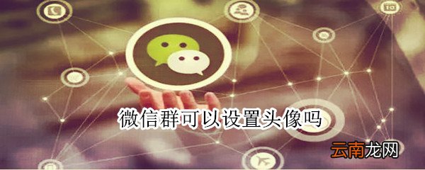 微信群可以设置头像吗