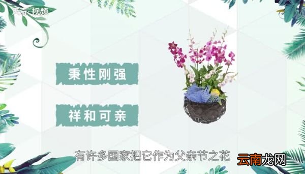 父亲节送什么礼物给爸爸好 父亲节给爸爸送什么礼物好