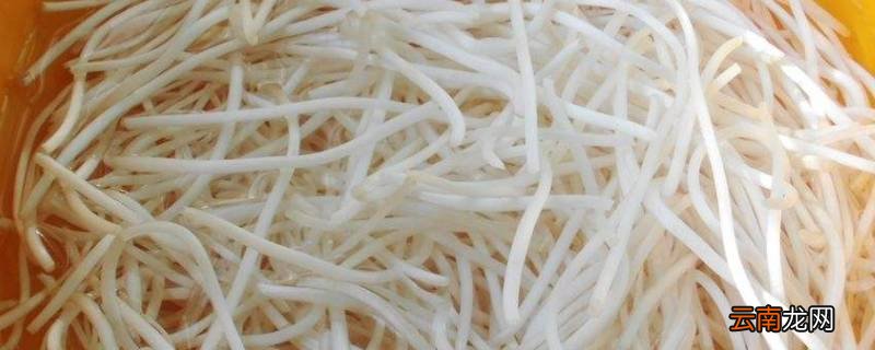 银芽是什么菜