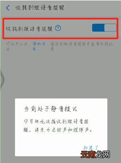 支付宝收款语音播报怎么设置多个手机关联