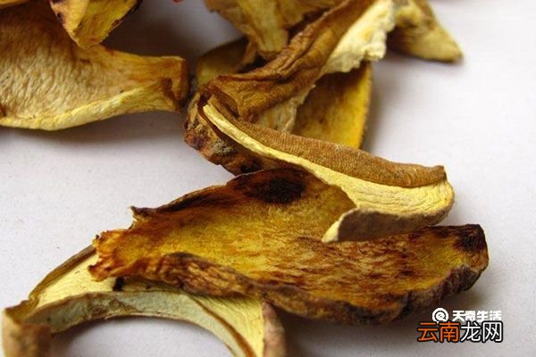 黄牛肝菌的功效与作用 黄牛肝菌的功效与作用有哪些