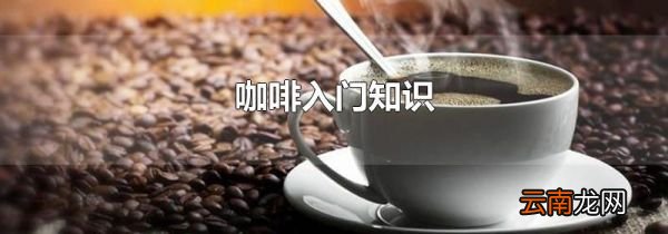 咖啡入门知识