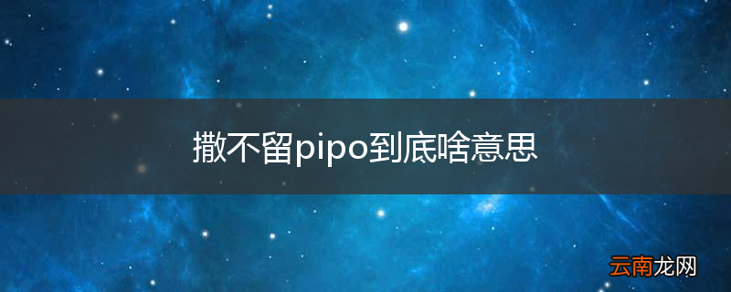 撒不留pipo到底啥意思