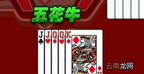 斗牛五花牛是什么牌？