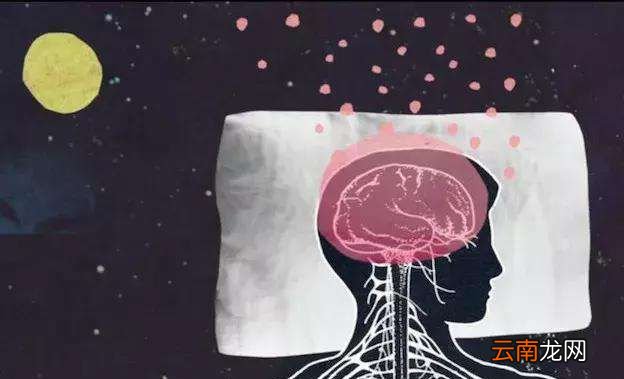 人睡觉时脑子在做什么?
