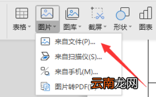 怎么在WORD图片边上打字_在WORD图片边上打字技巧分享