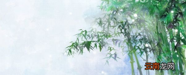独坐幽篁里全诗的意思 独坐幽篁里是哪首诗