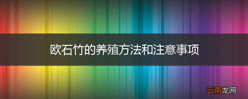 欧石竹的养殖方法和注意事项