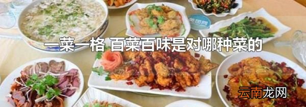 一菜一格 百菜百味是对哪种菜的