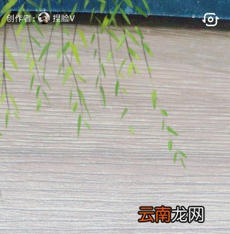 抖音白娘子特效怎么拍怎么弄 白娘子特效拍摄方式大全