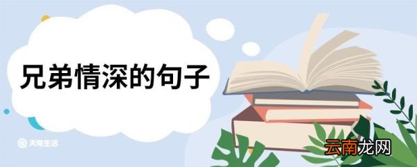 兄弟情深的句子 兄弟情深的句子有哪些