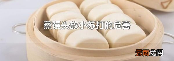 蒸馒头放小苏打的危害
