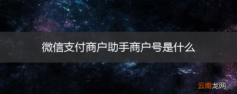 微信支付商户助手商户号是什么