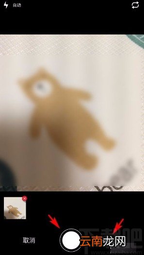 拍拍app设置个人头像的方法