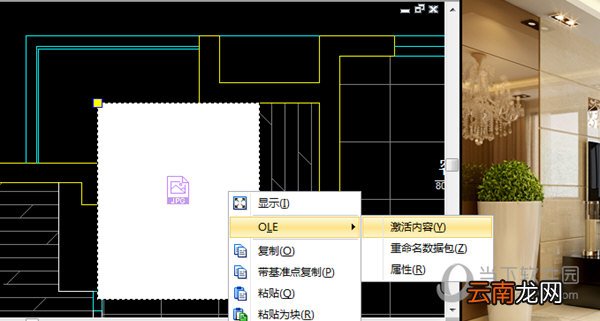 迅捷CAD编辑器怎么插入OLE对象 插入方法介绍