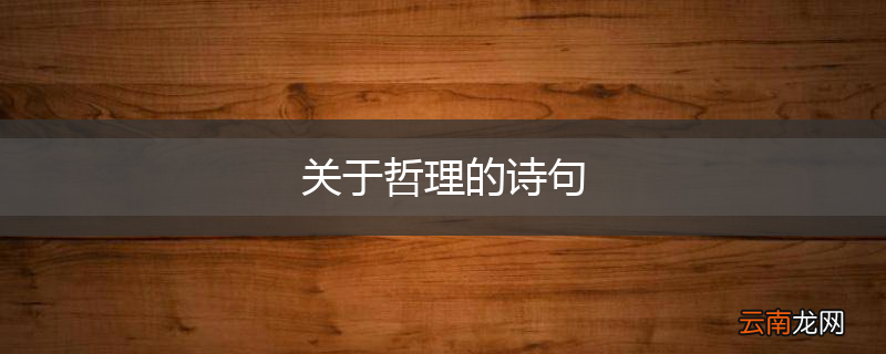 关于哲理的诗句