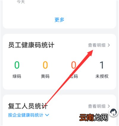 钉钉健康打卡怎么看统计
