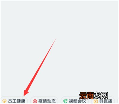 钉钉健康打卡怎么看统计