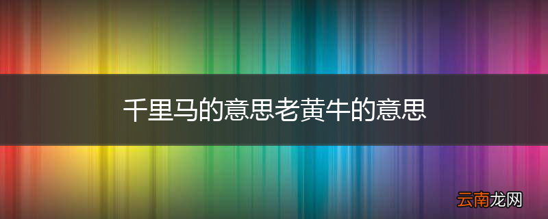 千里马的意思老黄牛的意思