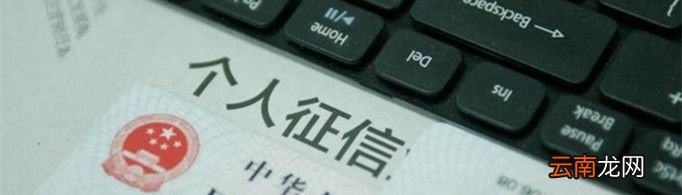 征信逾期几次算黑户？