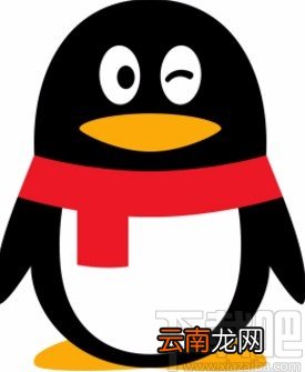 QQapp开启通知显示消息预览的方法