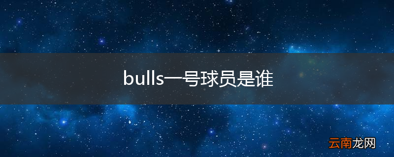 bulls一号球员是谁
