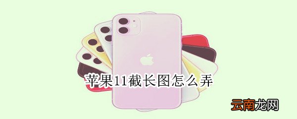 苹果11截长图怎么弄