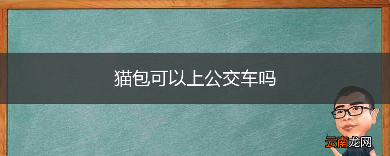 猫包可以上公交车吗