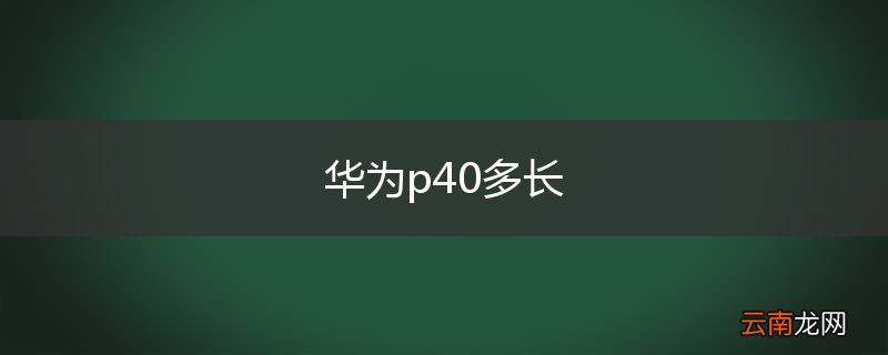 华为p40多长