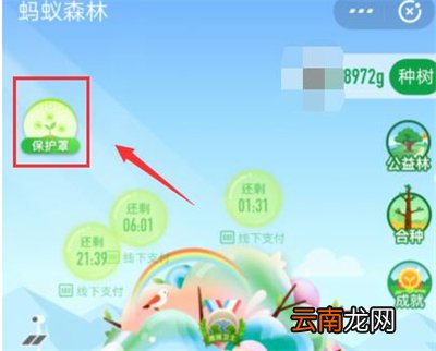 支付宝种树彩色树怎么弄的