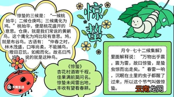 惊蛰手抄报简单漂亮 惊蛰手抄报简单