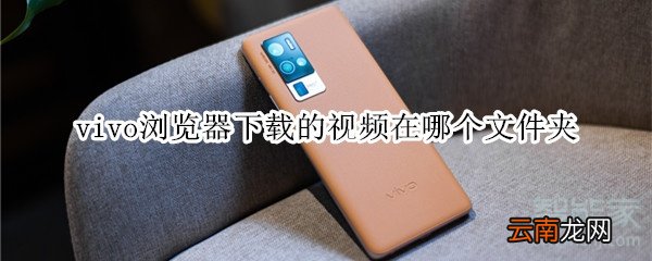 vivo浏览器下载的视频在哪个文件夹