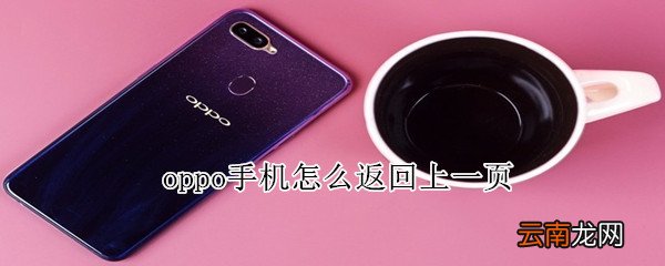 oppo手机怎么返回上一页