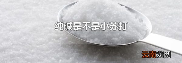 纯碱是不是小苏打