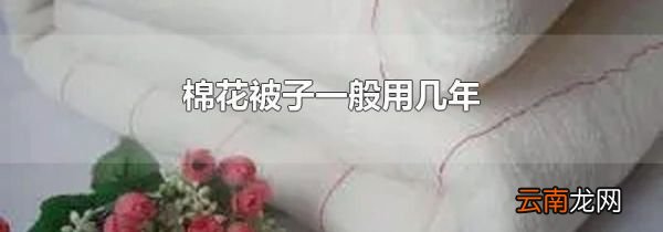 棉花被子一般用几年