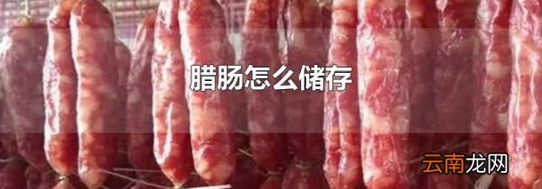 腊肠怎么储存