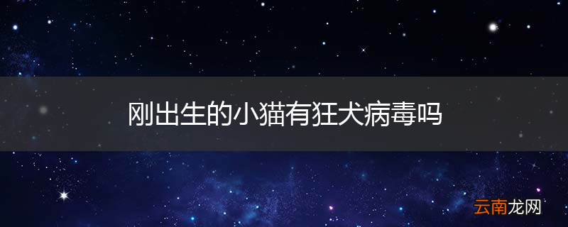 刚出生的小猫有狂犬病毒吗