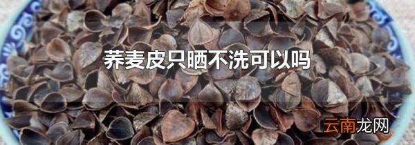 荞麦皮只晒不洗可以吗