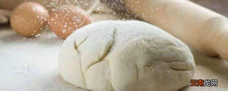 做面包的面团要发酵多久