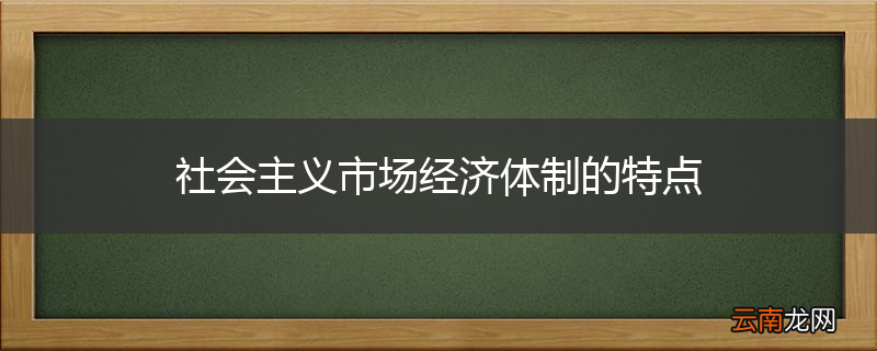 社会主义市场经济体制的特点