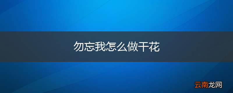 勿忘我怎么做干花