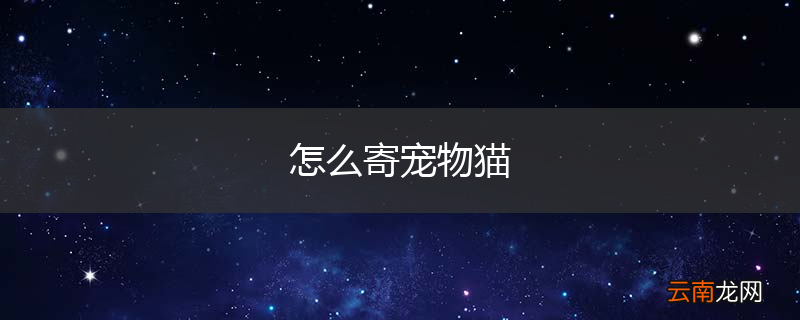 怎么寄宠物猫