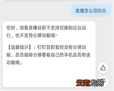 钉钉怎么后台播放