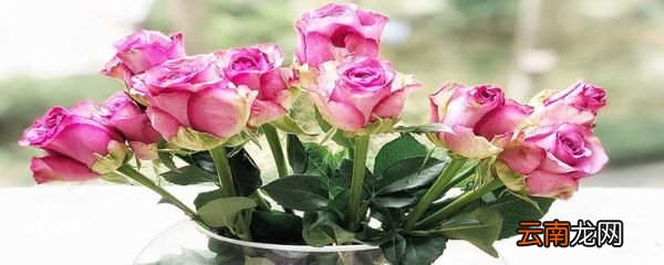 没有花瓶怎么保存鲜花 怎么保存鲜花