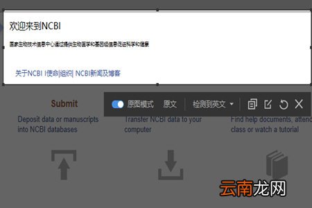 有道词典如何截图翻译 截图翻译方法分享
