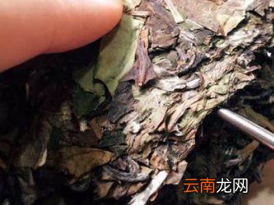 白茶饼怎么撬开