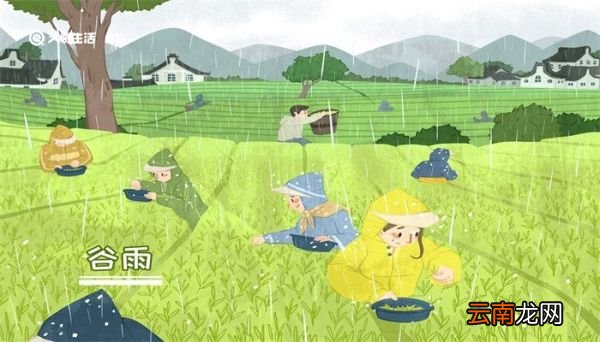 谷雨的寓意 谷雨有什么寓意