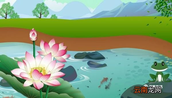 青蛙醒了是什么季节 青蛙冬眠哪个季节醒来