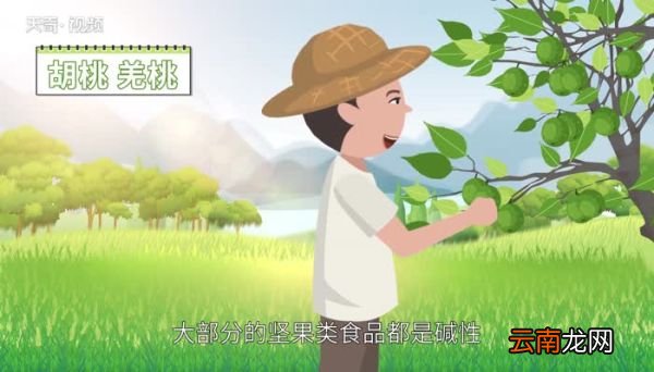 核桃是酸性还是碱性 核桃是酸性还是碱性的